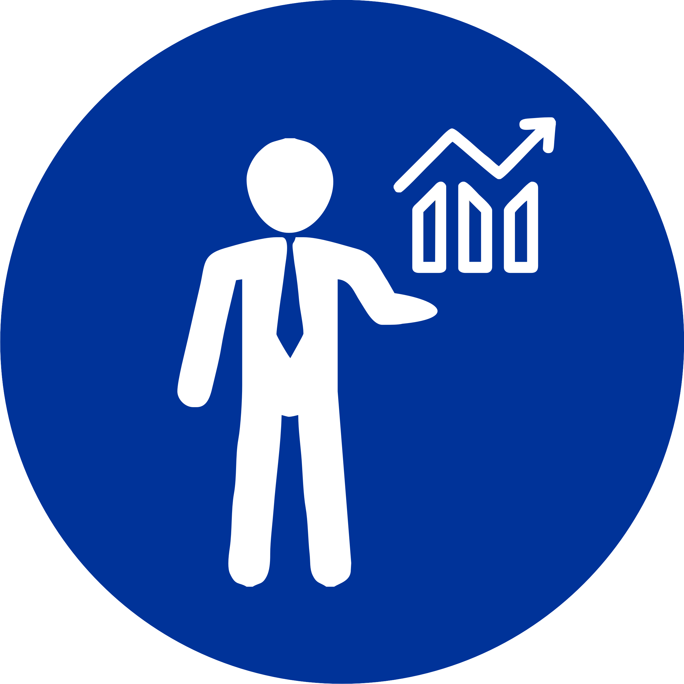 Outsourcing Financiero